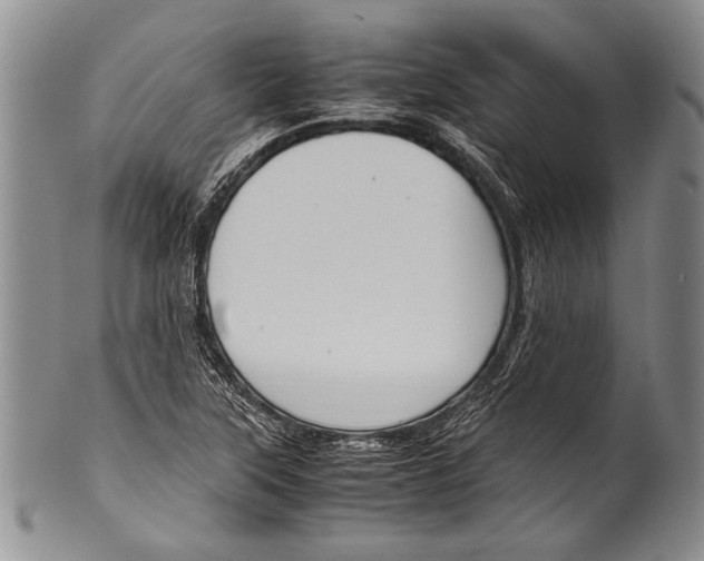 X0000100341315200806261317