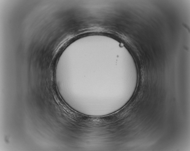 X0000100341318200806261317