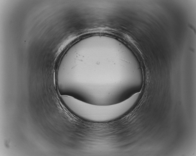 X0000100341320200806261317