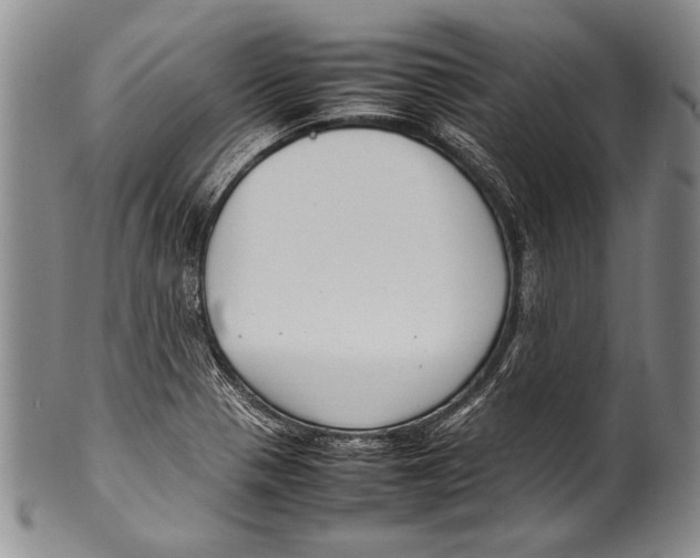 X0000100341321200806261317