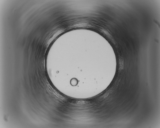 X0000100341322200806261317