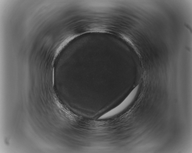 X0000100341323200806261317