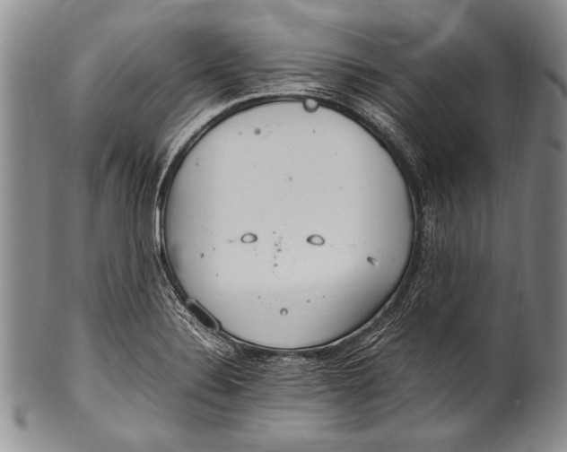 X0000100341324200806261317