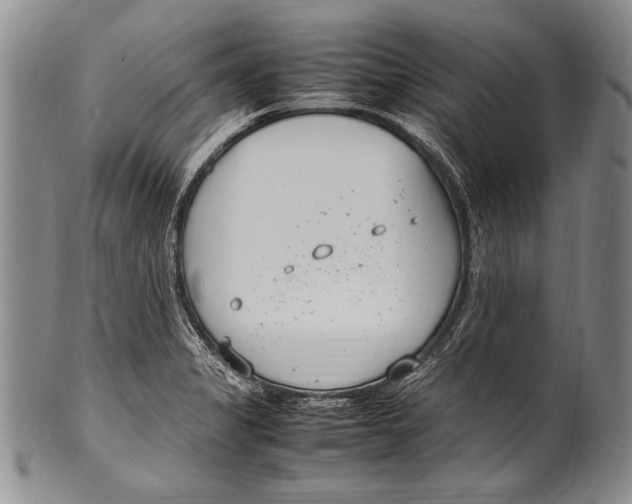 X0000100341325200806261317