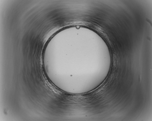 X0000100341328200806261317