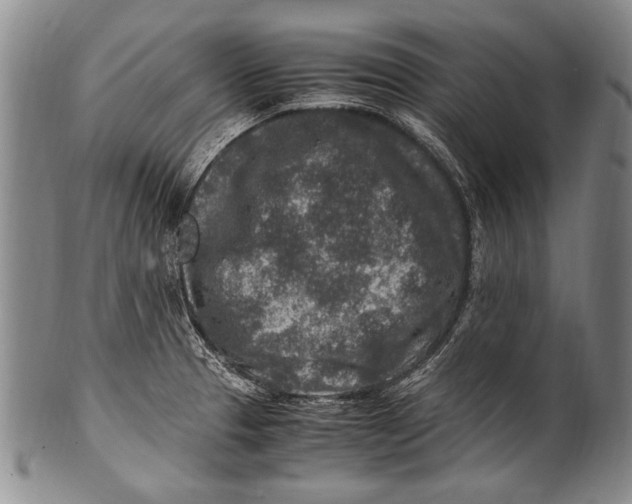 X0000100341329200806261317