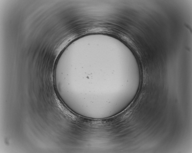 X0000100341330200806261317