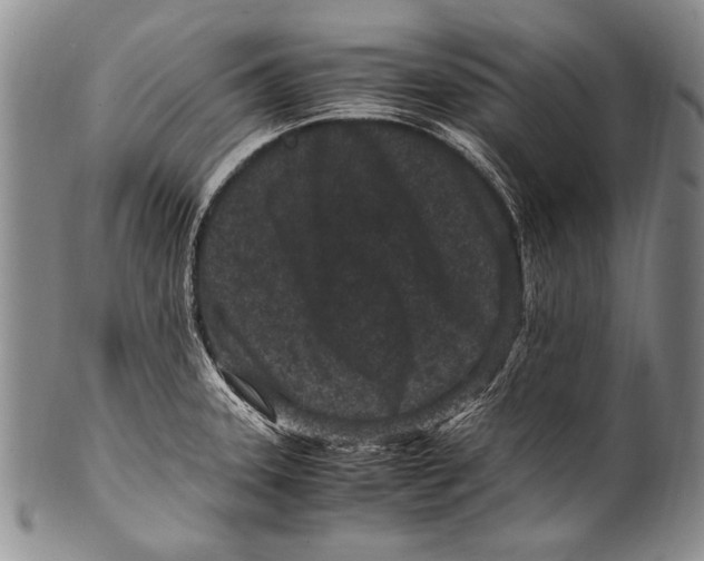 X0000100341331200806261317