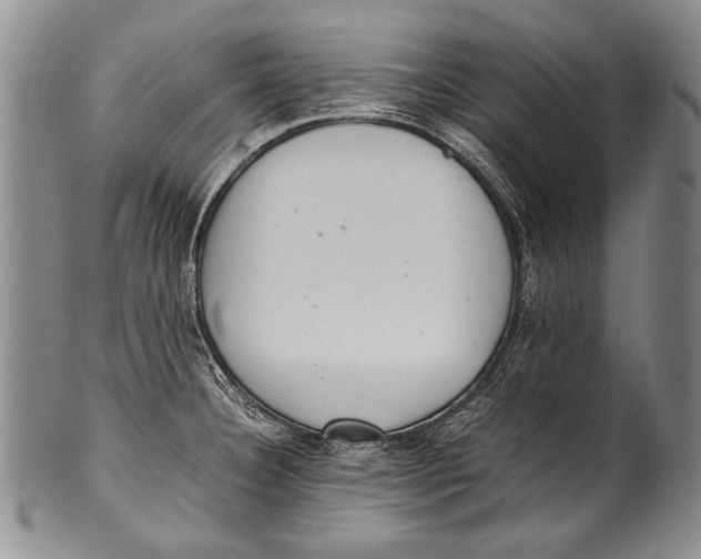 X0000100341332200806261317