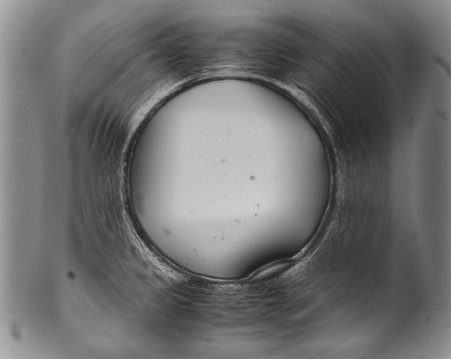 X0000100341333200806261317