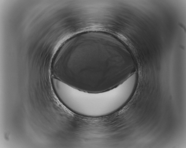 X0000100341334200806261317