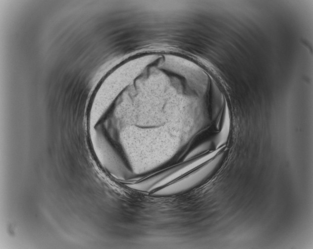 X0000100341335200806261317