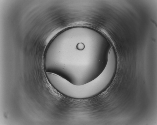 X0000100341336200806261317