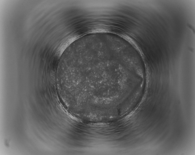 X0000100341337200806261317