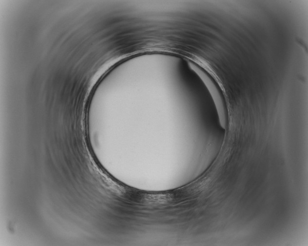 X0000100341339200806261317