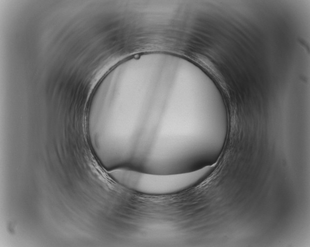 X0000100341340200806261317