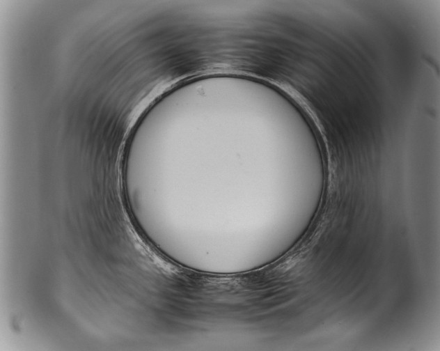 X0000100341341200806261317