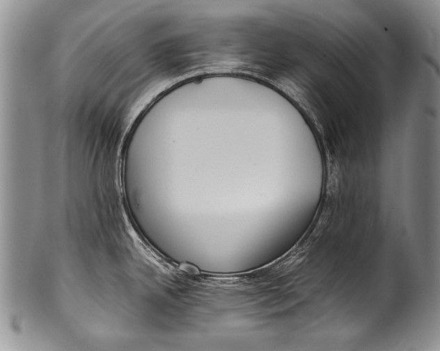 X0000100341342200806261317