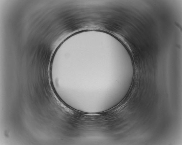 X0000100341343200806261317