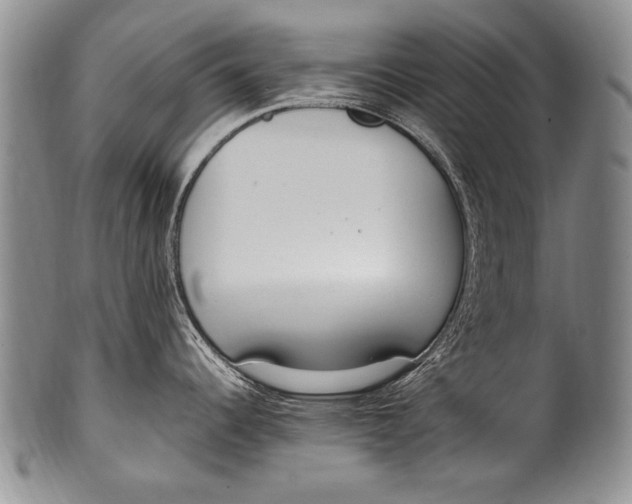 X0000100341344200806261317