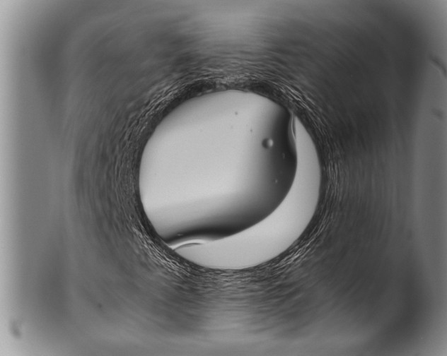 X0000100341345200806261317