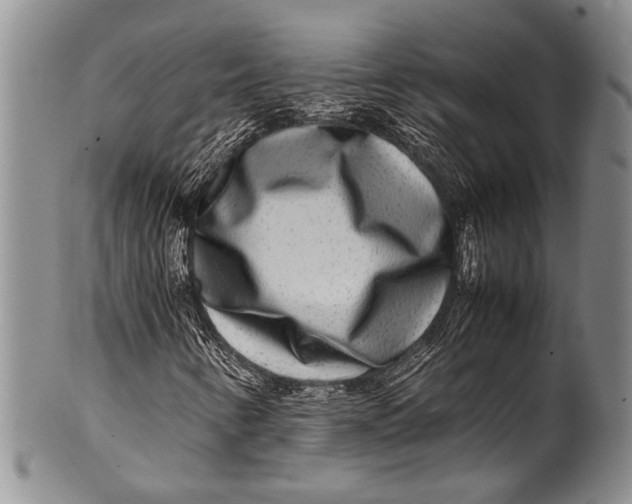 X0000100341346200806261317