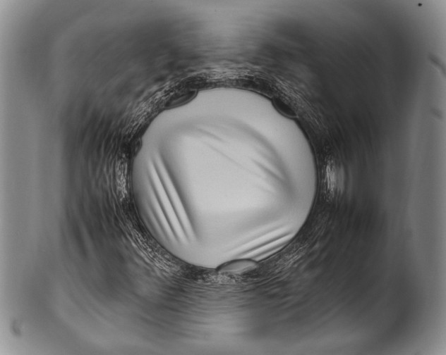 X0000100341348200806261317