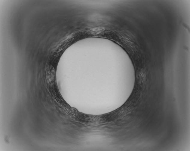 X0000100341349200806261317