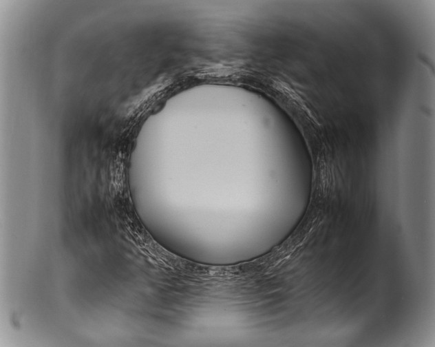 X0000100341350200806261317