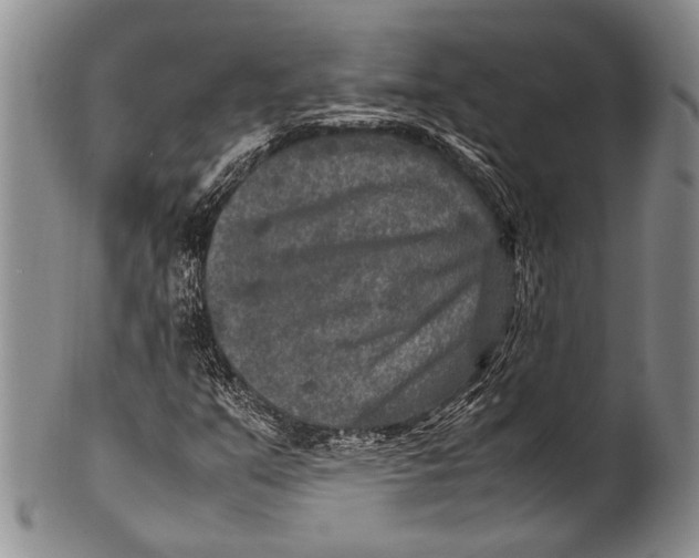 X0000100341351200806261317