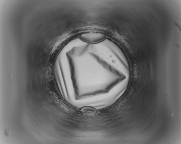 X0000100341352200806261317