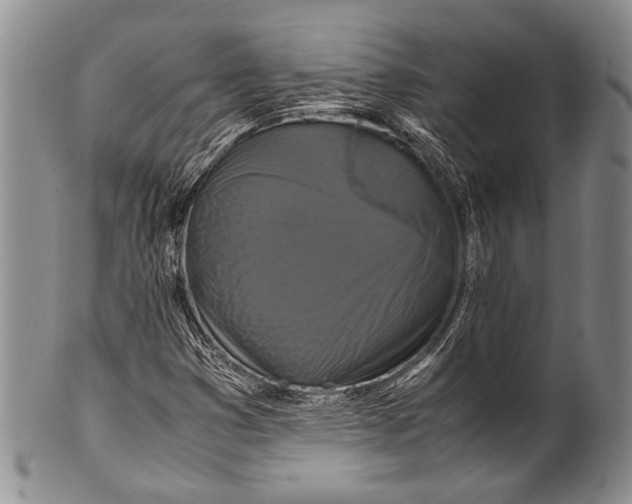 X0000100341353200806261317