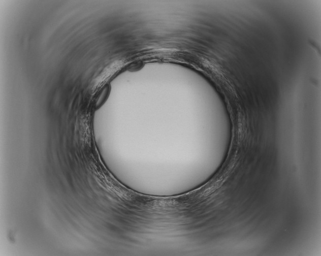 X0000100341354200806261317