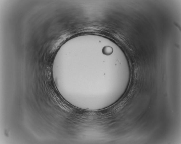 X0000100341355200806261317