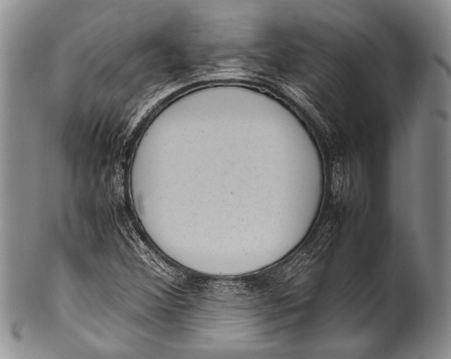 X0000100341356200806261317