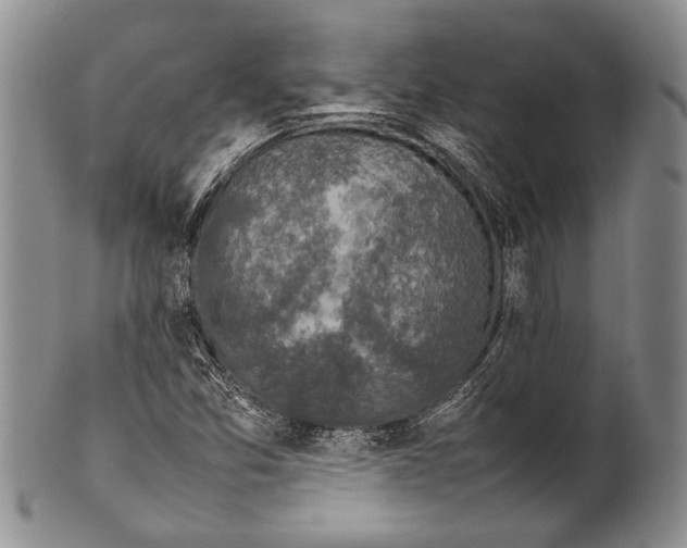 X0000100341357200806261317