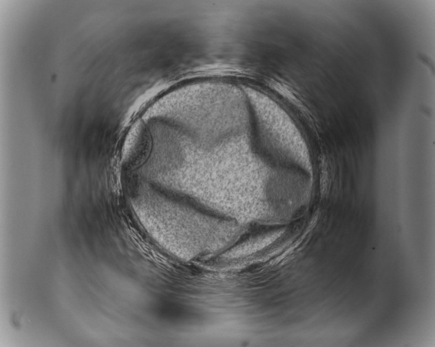 X0000100341358200806261317