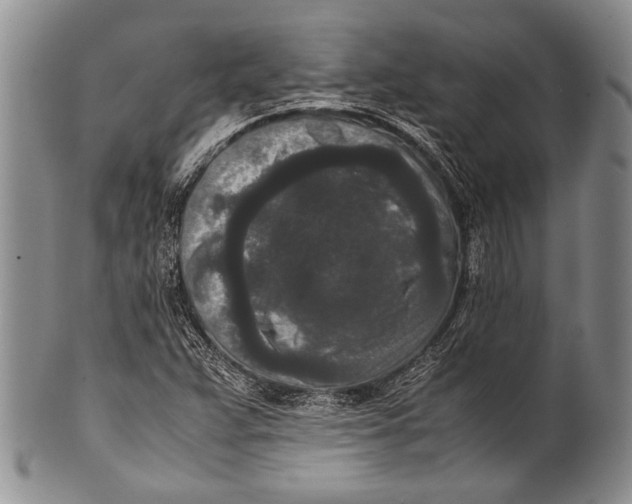 X0000100341359200806261317