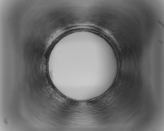 X0000100341360200806261316