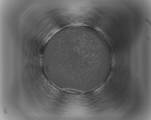 X0000100341361200806261316