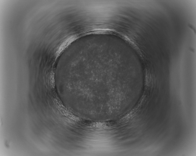 X0000100341362200806261316