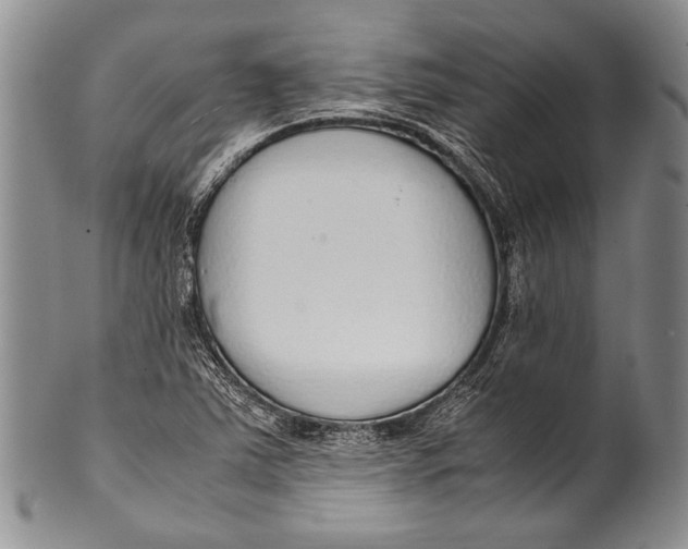 X0000100341363200806261316