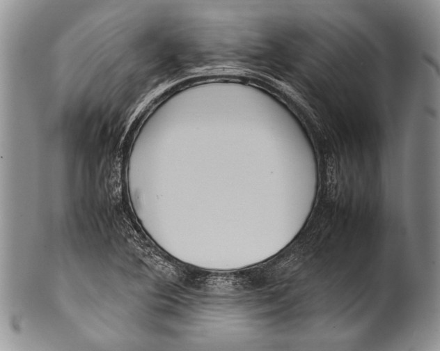 X0000100341364200806261316