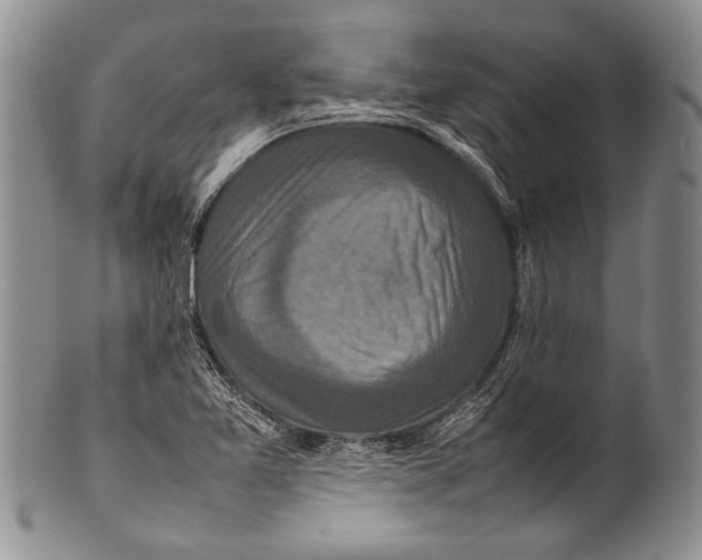 X0000100341365200806261316