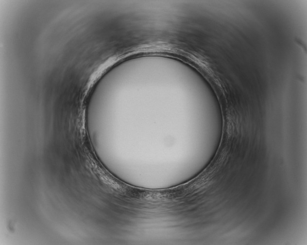 X0000100341366200806261316