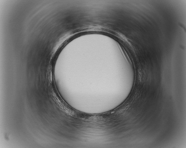 X0000100341368200806261316