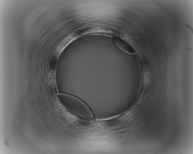 X0000100341369200806261316