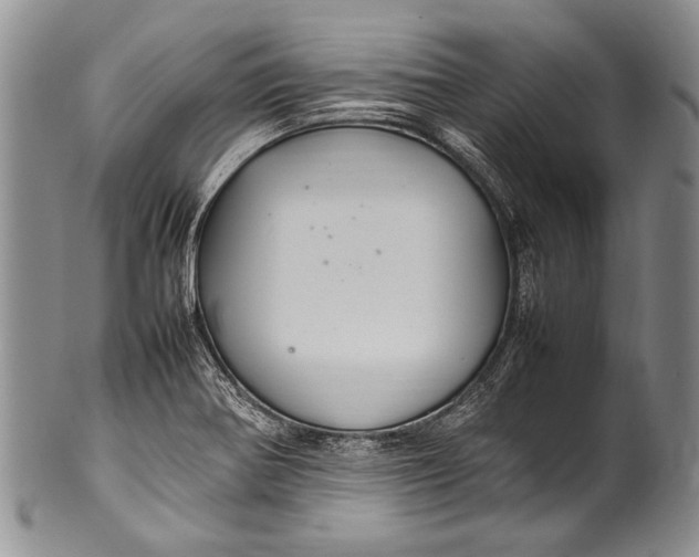 X0000100341370200806261316