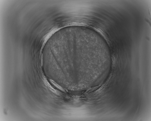 X0000100341371200806261316