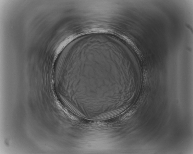 X0000100341373200806261316